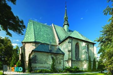 Szlak żółty: Busko-Szaniec