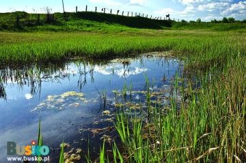 Szlak czerwony: Busko-Solec