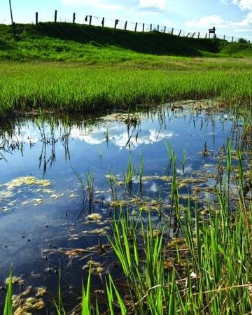 Szlak czerwony: Busko-Solec