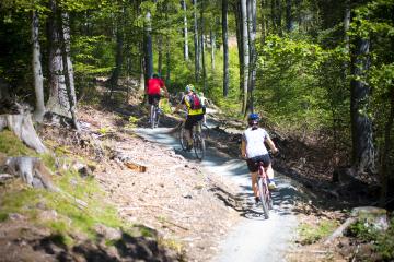 Trasy rowerowe SINGLETRACK GLACENSIS