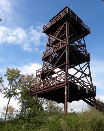 Szlak zielony na Wapniarkę z Gorzanowa