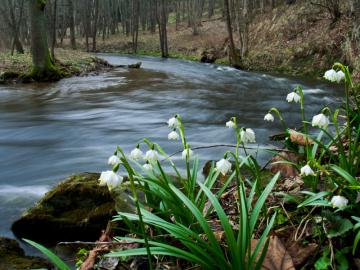 Dolina Dzikiej Orlicy