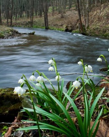 Dolina Dzikiej Orlicy