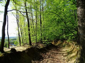 Ścieżki zdrojowe Latoszyn Zdrój