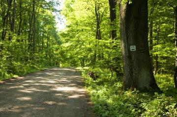Szlak rowerowy „Śladami słońca i śniegu”