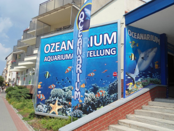 Oceanarium