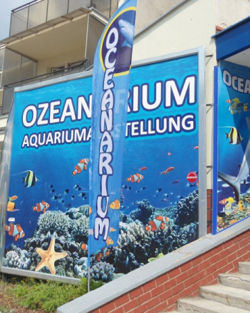Oceanarium