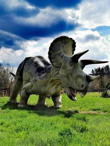 Ścieżka edukacyjna