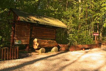 Ścieżka dydaktyczna w Rezerwacie Sosny Taborskiej