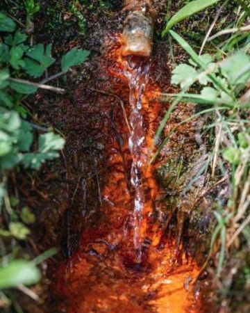 Źródło „Iwona” (pomnik przyrody)