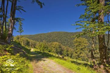 Park Rowerowy wokół Sankolandii