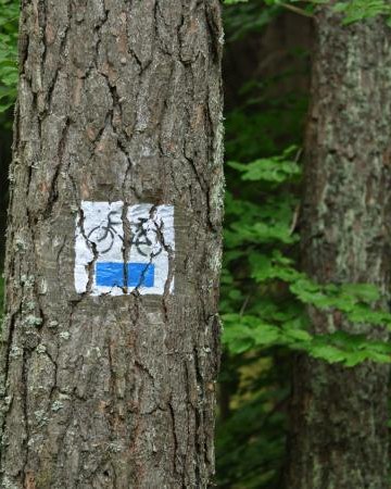 Szlak rowerowy „Pradolina Dębnicy”- niebieski