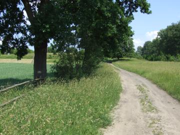 Szlak pieszy „Wokół Połczyna-Zdroju”- żółty