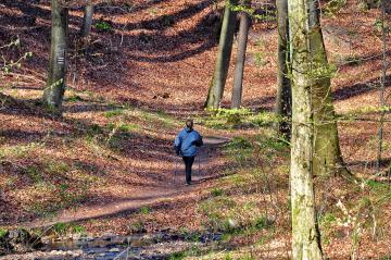 Ścieżka edukacyjna  „Dbając o figurę poznaję naturę”