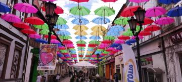 Połczyńskie parasolki