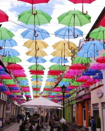 Połczyńskie parasolki