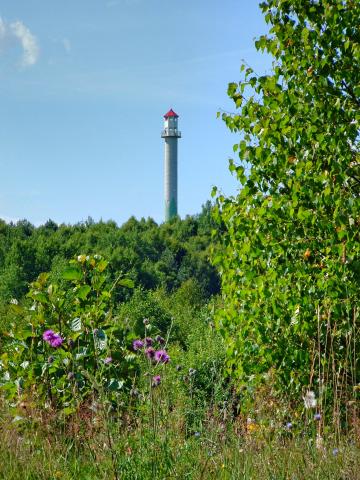 Wola Góra i Wzgórza Czarnkowieckie