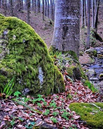 Wilcze Jary i Dolina Górnej Wogry