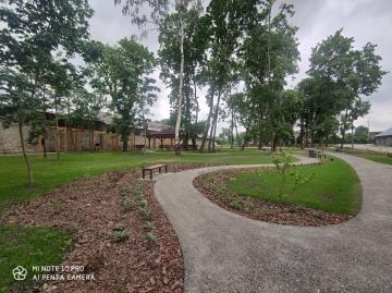 Zabytkowy park w Zborowie