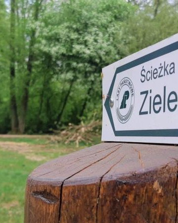 Ścieżka dydaktyczna „Zieleń”