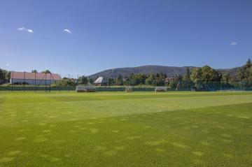 Boisko piłkarskie z nawierzchnią naturalną