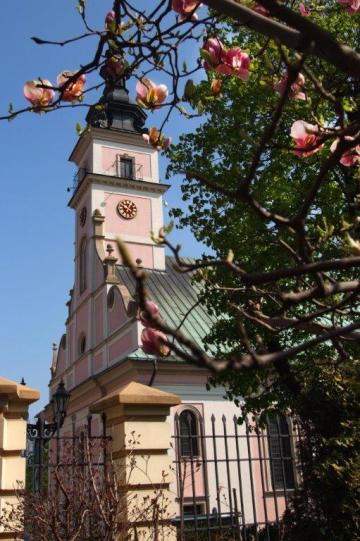 Kościół św. Klemensa